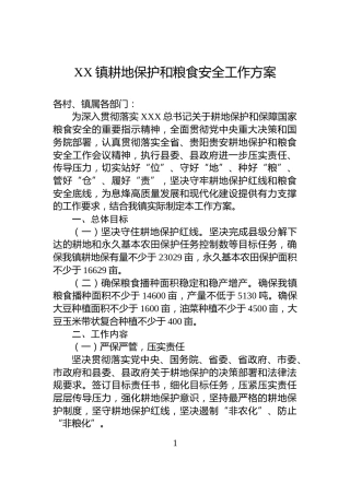 XX镇耕地保护和粮食安全工作方案