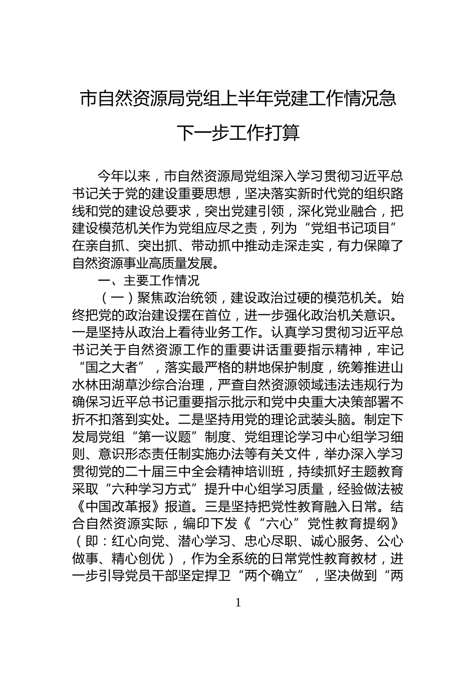 市自然资源局党组上半年党建工作情况急下一步工作打算_第1页