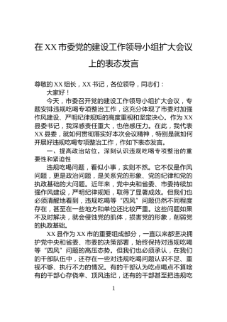 在XX市委党的建设工作领导小组扩大会议上的表态发言