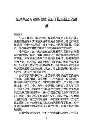 在某某区专题整改整治工作推进会上的讲话