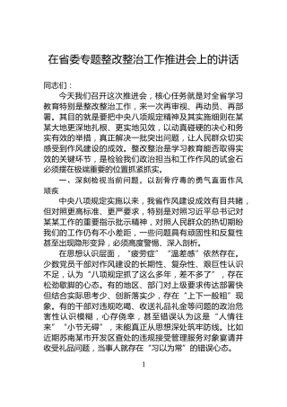 在省委专题整改整治工作推进会上的讲话