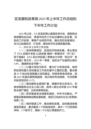 区发展和改革局2025年上半年工作总结和下半年工作计划