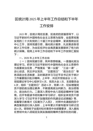 区统计局2025年上半年工作总结和下半年工作安排