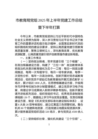 市教育局党组2025年上半年党建工作总结暨下半年打算