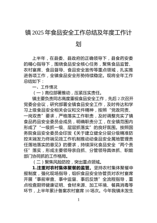 镇2025年食品安全工作总结及年度工作计划