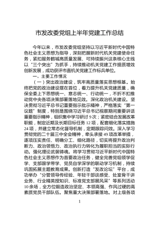 市发改委党组上半年党建工作总结