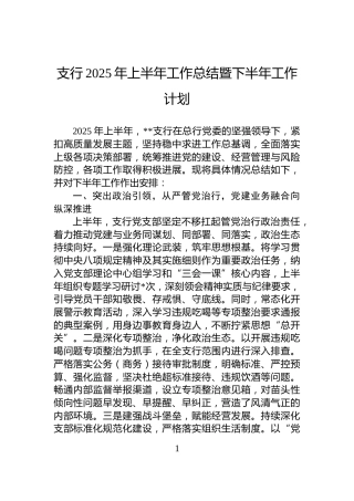 支行2025年上半年工作总结暨下半年工作计划