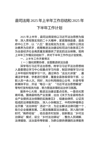 县司法局2025年上半年工作总结和2025年下半年工作计划