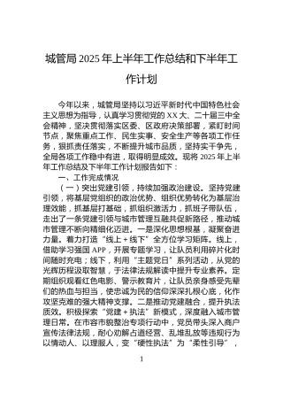 城管局2025年上半年工作总结和下半年工作计划