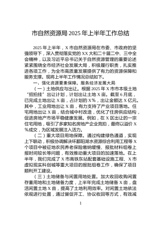 市自然资源局2025年上半年工作总结