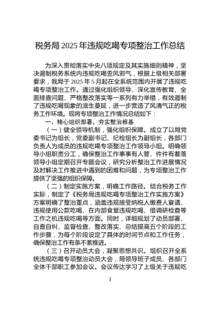 税务局2025年违规吃喝专项整治工作总结