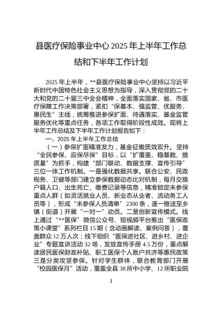 县医疗保险事业中心2025年上半年工作总结和下半年工作计划