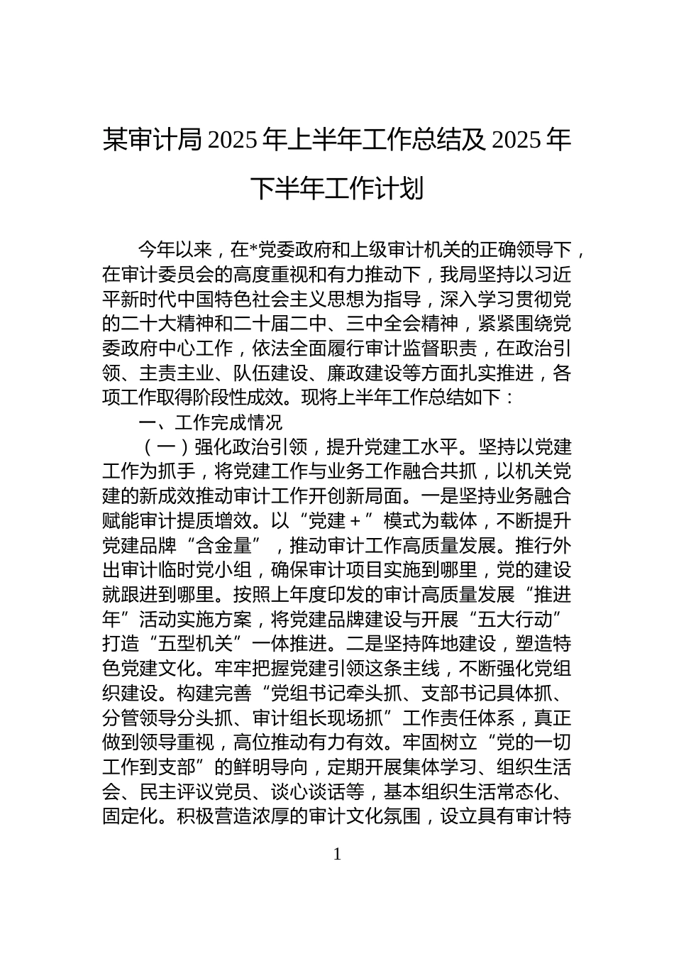 某审计局2025年上半年工作总结及2025年下半年工作计划_第1页