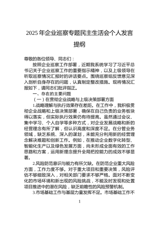 2025年企业巡察专题民主生活会个人发言提纲