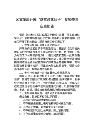 区文旅局开展“落实过紧日子”专项整治自查报告