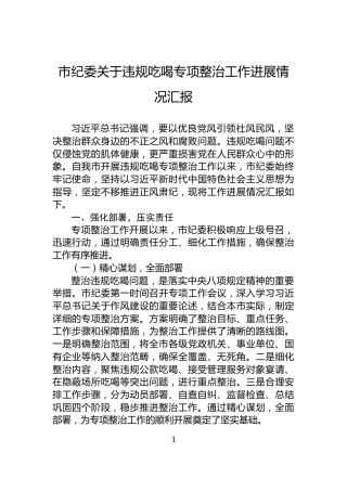 市纪委关于违规吃喝专项整治工作进展情况汇报