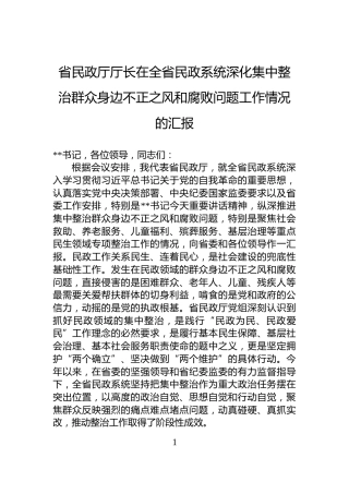 省民政厅厅长在全省民政系统深化集中整治群众身边不正之风和腐败问题工作情况的汇报