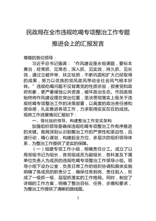 民政局在全市违规吃喝专项整治工作专题推进会上的汇报发言