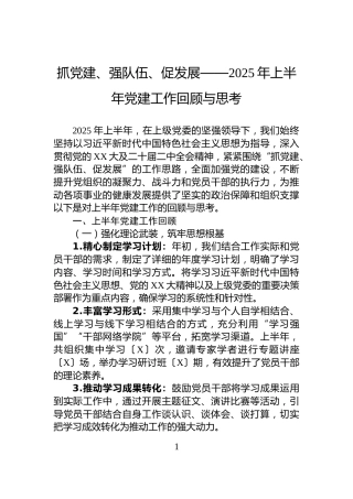 抓党建、强队伍、促发展——2025年上半年党建工作回顾与思考