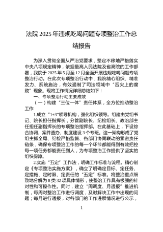 法院2025年违规吃喝问题专项整治工作总结报告