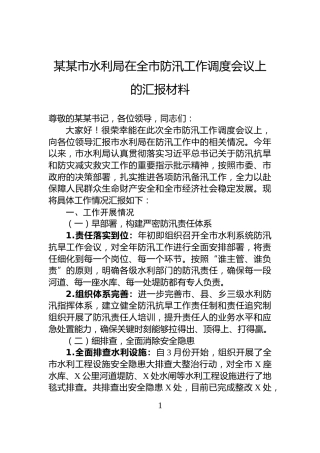 某某市水利局在全市防汛工作调度会议上的汇报材料