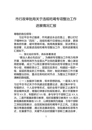 市行政审批局关于违规吃喝专项整治工作进展情况汇报