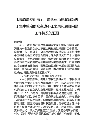 市民政局党组书记、局长在市民政系统关于集中整治群众身边不正之风和腐败问题工作情况的汇报