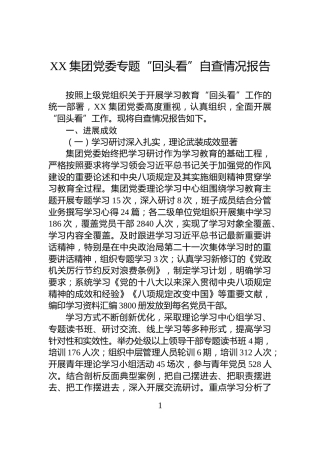 XX集团党委专题“回头看”自查情况报告