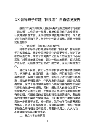 XX领导班子专题“回头看”自查情况报告
