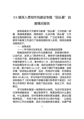 XX镇深入贯彻作风建设专题“回头看”自查情况报告