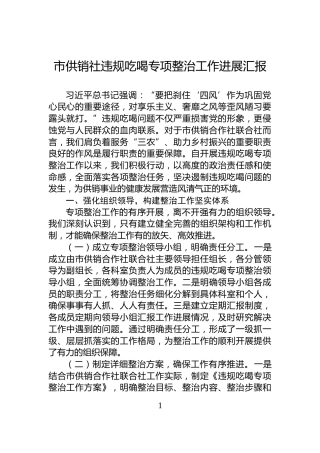 市供销社违规吃喝专项整治工作进展汇报