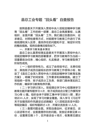 县总工会专题“回头看”自查报告