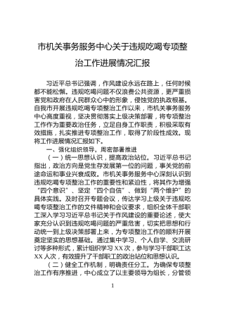市机关事务服务中心关于违规吃喝专项整治工作进展情况汇报