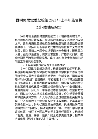 县税务局党委纪检组2025年上半年监督执纪问责情况报告