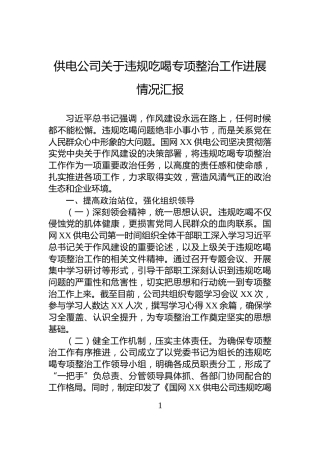 供电公司关于违规吃喝专项整治工作进展情况汇报