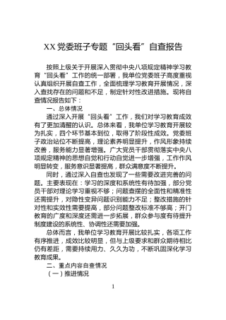XX党委班子专题“回头看”自查报告