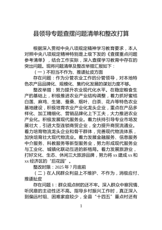 县领导专题查摆问题清单和整改打算