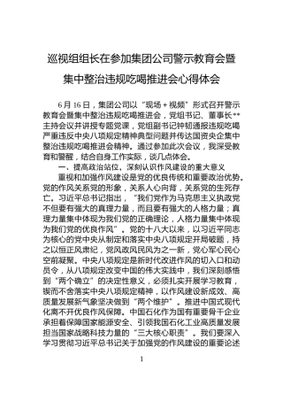 巡视组组长在参加集团公司警示教育会暨集中整治违规吃喝推进会心得体会