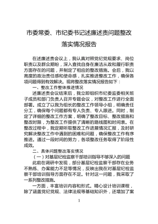 市委常委、市纪委书记述廉述责问题整改落实情况报告