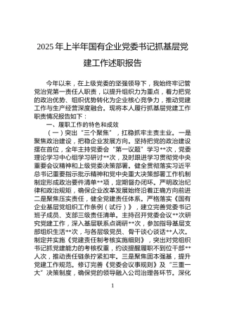 2025年上半年国有企业党委书记抓基层党建工作述职报告
