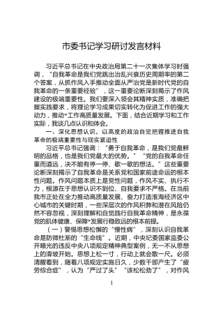 市委书记学习研讨发言材料