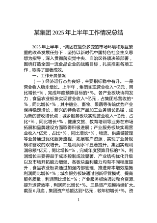 某集团2025年上半年工作情况总结