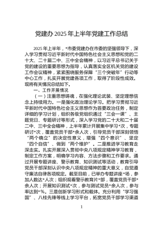 党建办2025年上半年党建工作总结