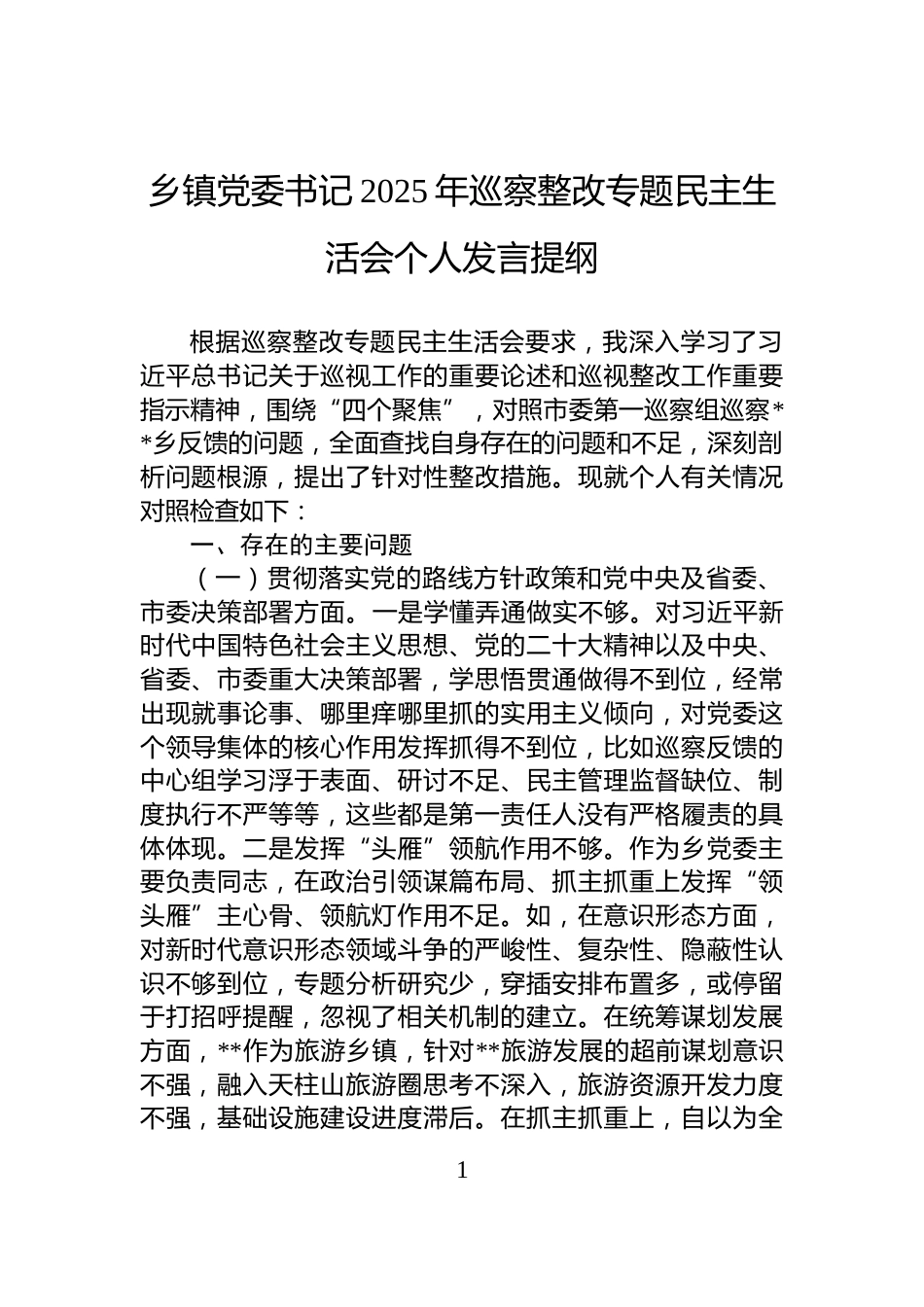 乡镇党委书记2025年巡察整改专题民主生活会个人发言提纲_第1页