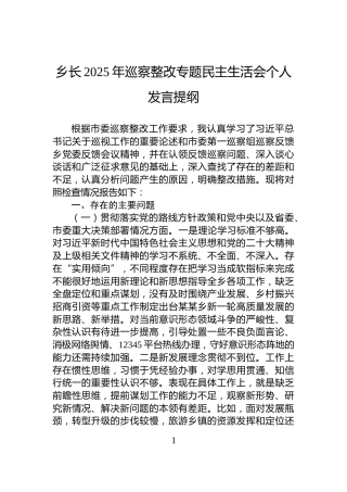 乡长2025年巡察整改专题民主生活会个人发言提纲