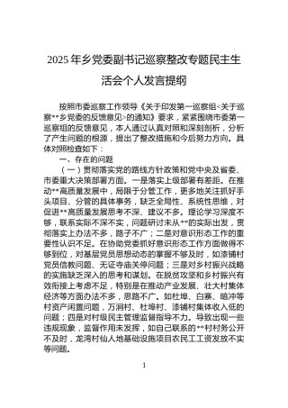 2025年乡党委副书记巡察整改专题民主生活会个人发言提纲