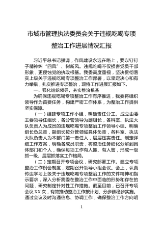 市城市管理执法委员会关于违规吃喝专项整治工作进展情况汇报