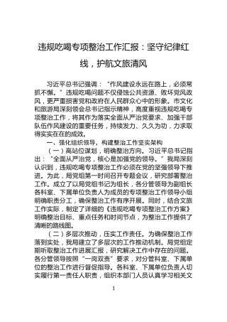 违规吃喝专项整治工作汇报：坚守纪律红线，护航文旅清风