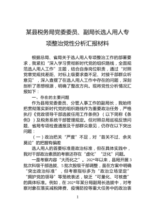 某县税务局党委委员、副局长选人用人专项整治党性分析汇报材料