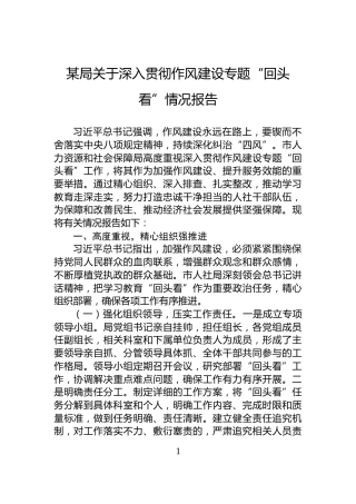 某局关于深入贯彻作风建设专题“回头看”情况报告